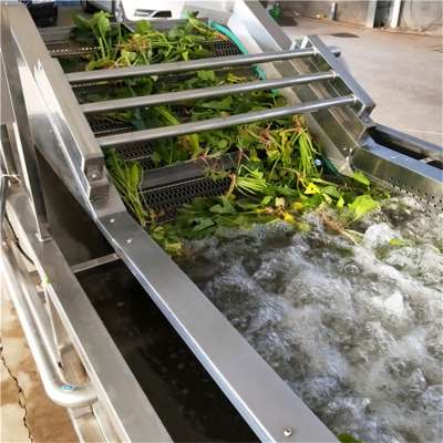 China Supplier Multi-function Vegetable Washing Machine Fruit Onion Cleaning Machinery